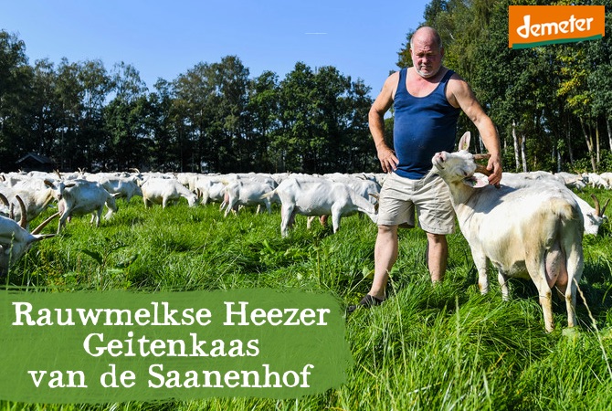Geitenkaas van de Saanenhof